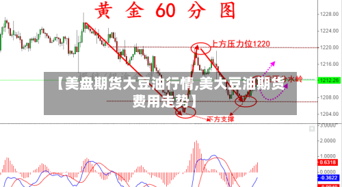 【美盘期货大豆油行情,美大豆油期货费用走势】-第3张图片
