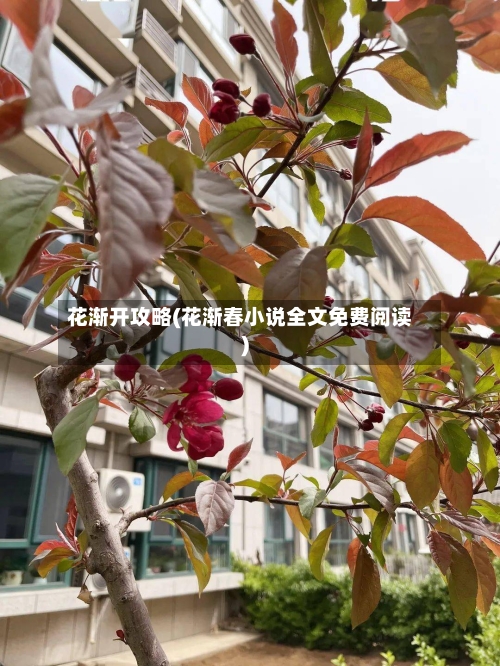 花渐开攻略(花渐春小说全文免费阅读)
