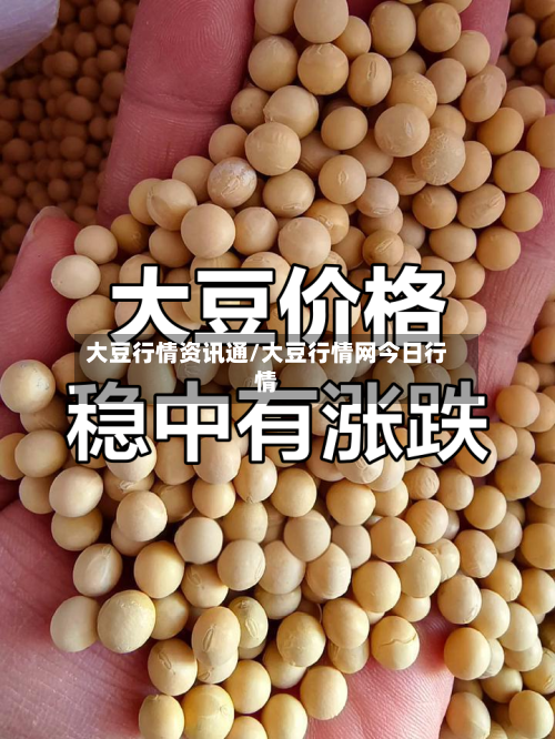 大豆行情资讯通/大豆行情网今日行情-第2张图片