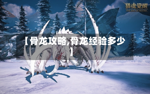 【骨龙攻略,骨龙经验多少】-第2张图片