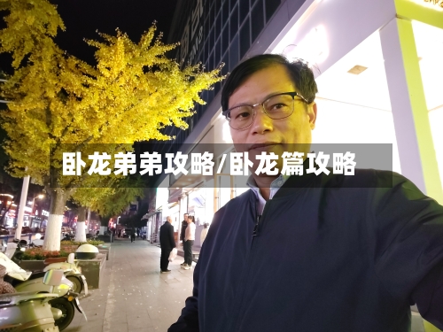 卧龙弟弟攻略/卧龙篇攻略