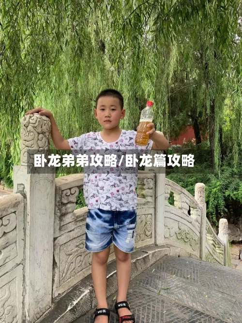 卧龙弟弟攻略/卧龙篇攻略-第2张图片