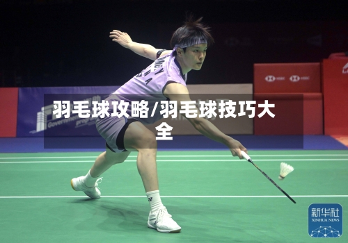 羽毛球攻略/羽毛球技巧大全