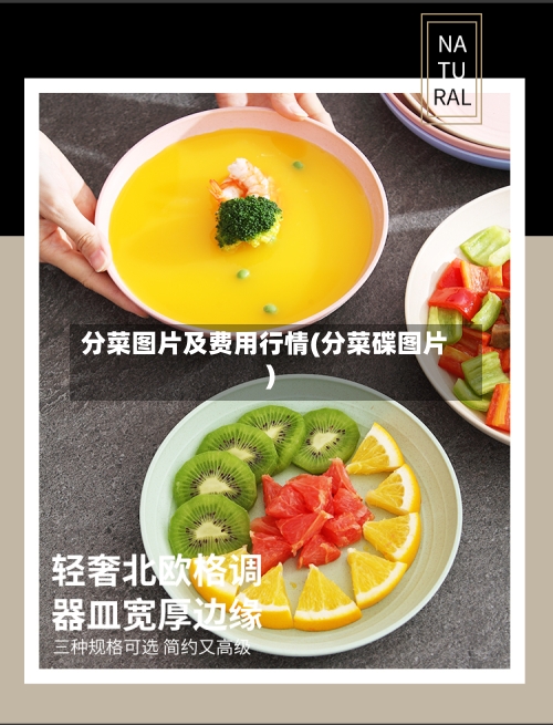 分菜图片及费用行情(分菜碟图片)-第2张图片