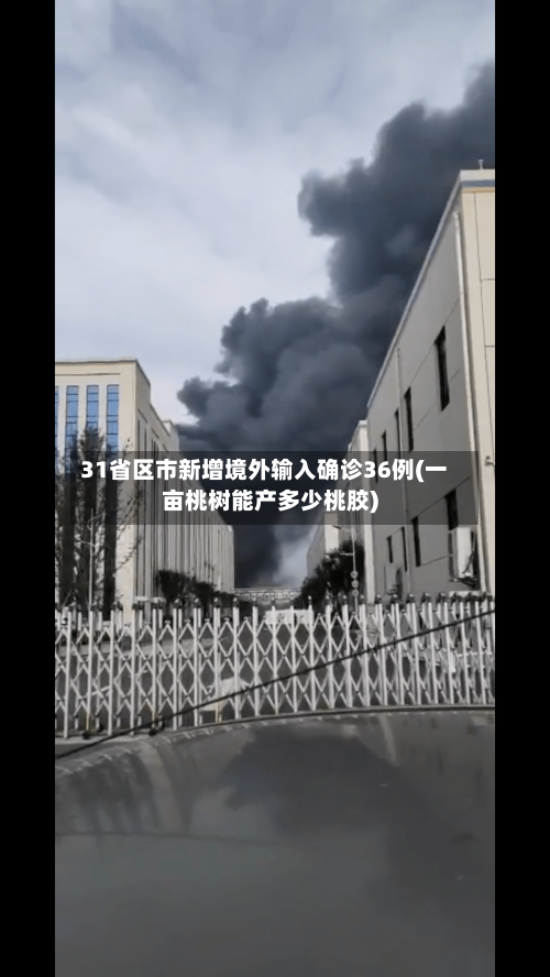 31省区市新增境外输入确诊36例(一亩桃树能产多少桃胶)