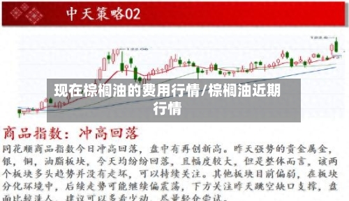 现在棕榈油的费用行情/棕榈油近期行情-第2张图片