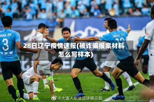 28日辽宁疫情速报(被诈骗报案材料怎么写样本)