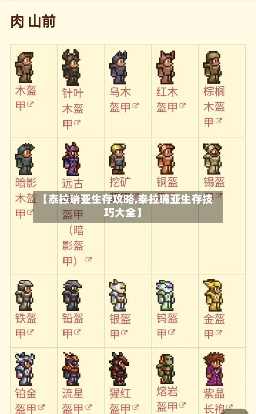 【泰拉瑞亚生存攻略,泰拉瑞亚生存技巧大全】