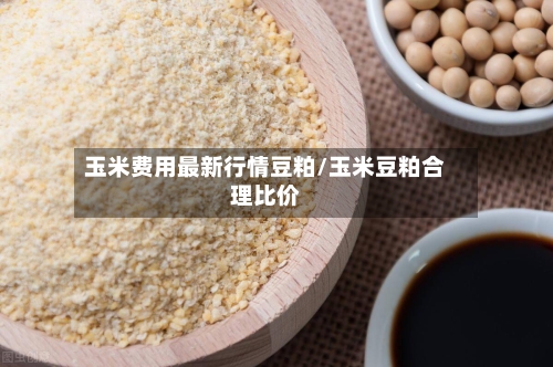 玉米费用最新行情豆粕/玉米豆粕合理比价