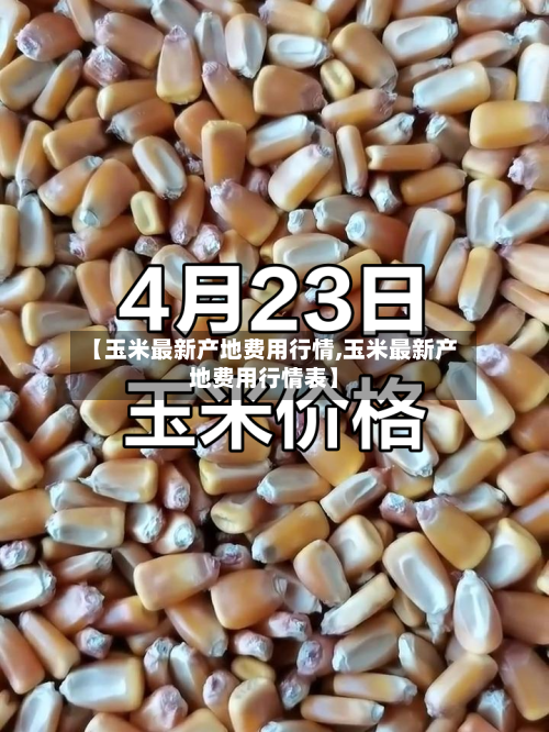 【玉米最新产地费用行情,玉米最新产地费用行情表】