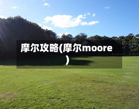 摩尔攻略(摩尔moore)-第2张图片