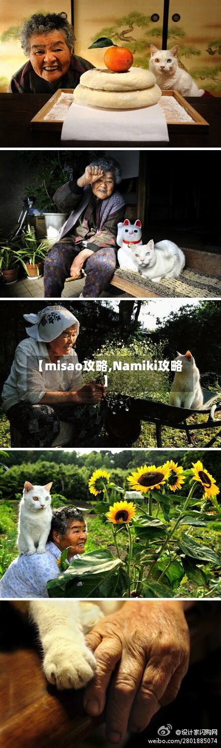 【misao攻略,Namiki攻略】