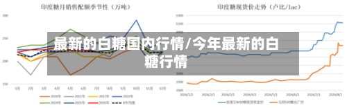 最新的白糖国内行情/今年最新的白糖行情