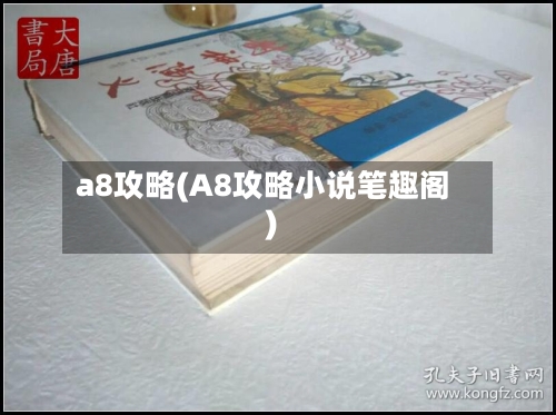 a8攻略(A8攻略小说笔趣阁)