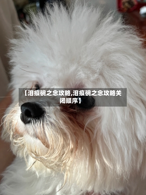 【泪痕碗之念攻略,泪痕碗之念攻略关闭顺序】