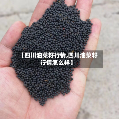 【四川油菜籽行情,四川油菜籽行情怎么样】