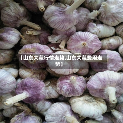 【山东大蒜行情走势,山东大蒜费用走势】-第3张图片