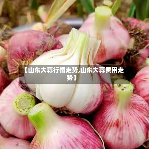 【山东大蒜行情走势,山东大蒜费用走势】