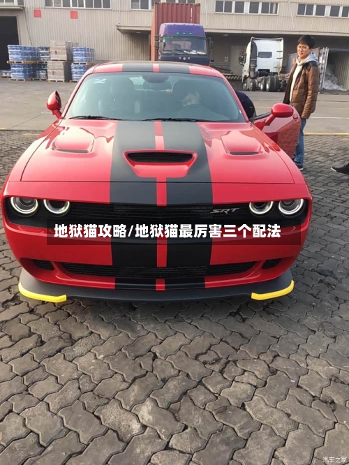 地狱猫攻略/地狱猫最厉害三个配法-第2张图片