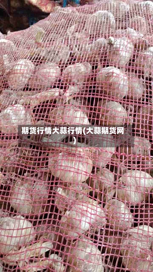 期货行情大蒜行情(大蒜期货网)-第2张图片