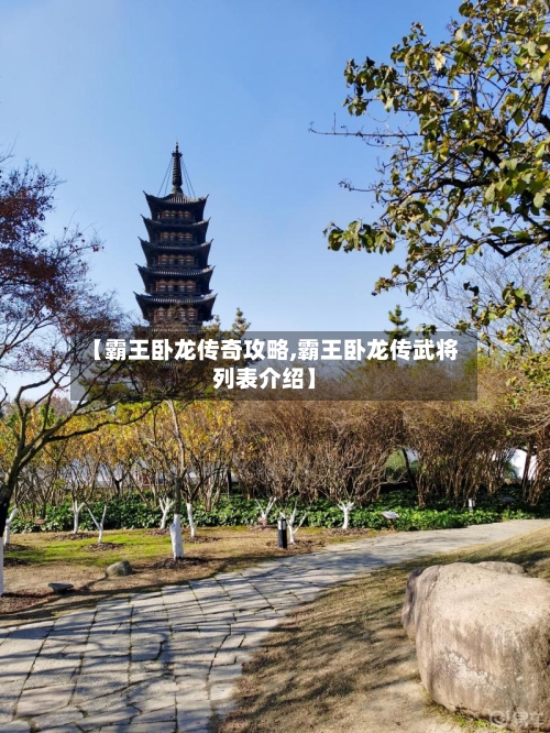 【霸王卧龙传奇攻略,霸王卧龙传武将列表介绍】