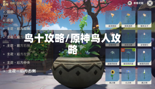 鸟十攻略/原神鸟人攻略-第2张图片