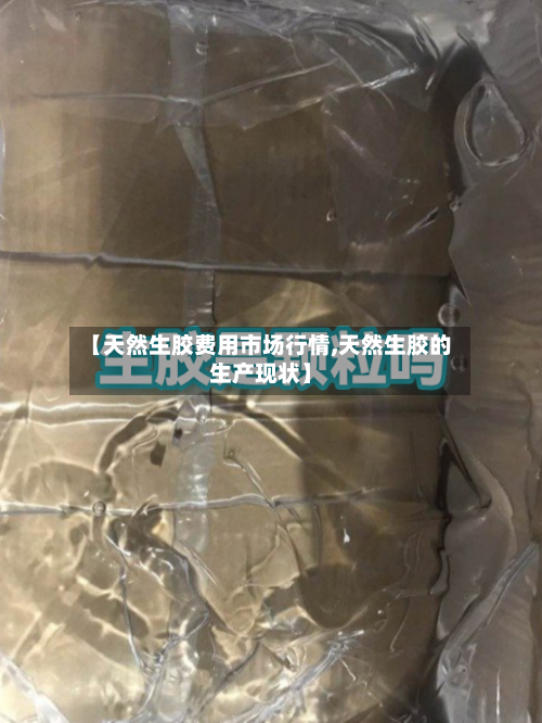 【天然生胶费用市场行情,天然生胶的生产现状】