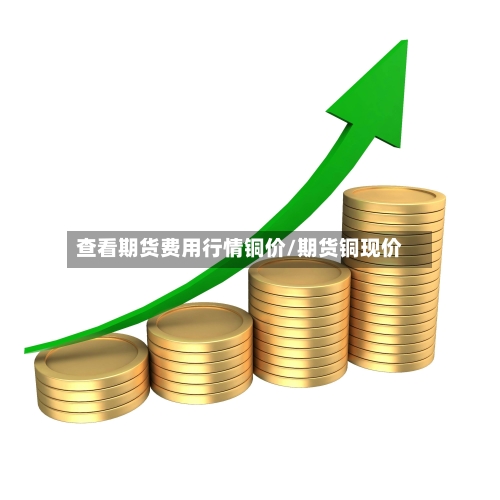 查看期货费用行情铜价/期货铜现价