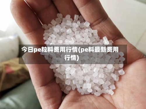 今日pe粒料费用行情(pe料最新费用行情)