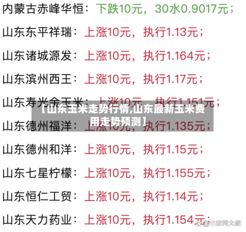 【山东玉米走势行情,山东最新玉米费用走势预测】