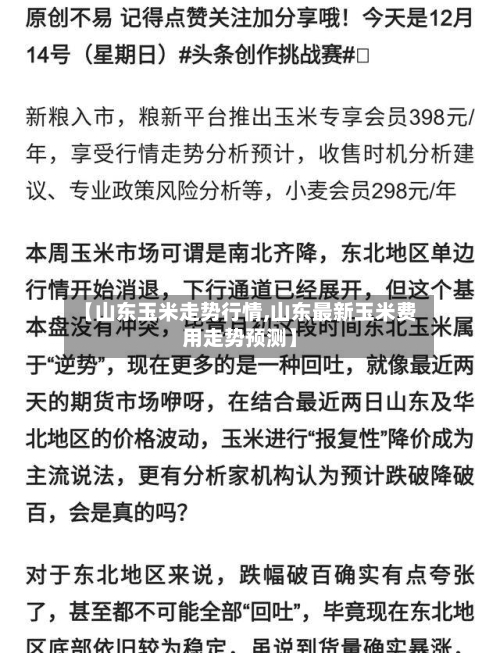 【山东玉米走势行情,山东最新玉米费用走势预测】-第3张图片