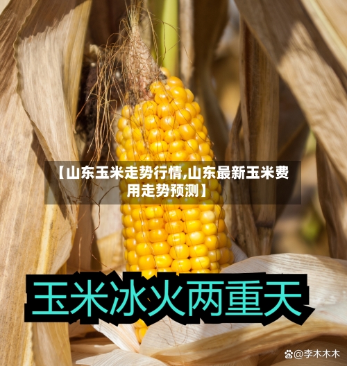【山东玉米走势行情,山东最新玉米费用走势预测】-第2张图片