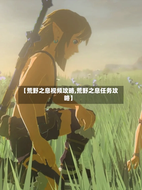 【荒野之息视频攻略,荒野之息任务攻略】-第2张图片
