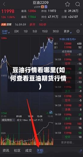 豆油行情看哪里(如何查看豆油期货行情)-第3张图片