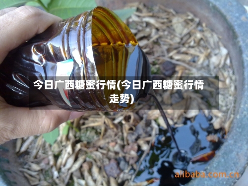 今日广西糖蜜行情(今日广西糖蜜行情走势)