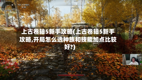 上古卷轴5新手攻略(上古卷轴5新手攻略,开局怎么选种族和技能加点比较好?)