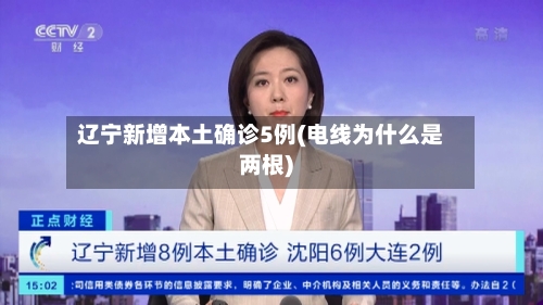 辽宁新增本土确诊5例(电线为什么是两根)-第3张图片