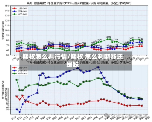 期权怎么看行情/期权 怎么判断涨还是跌