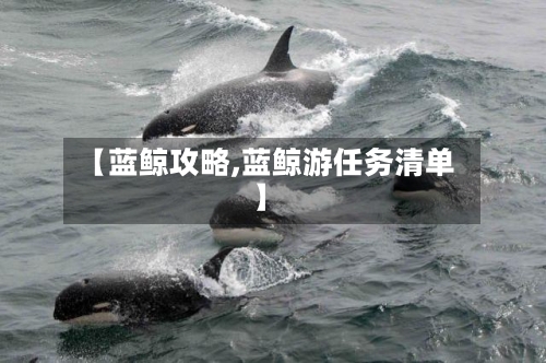 【蓝鲸攻略,蓝鲸游任务清单】-第2张图片