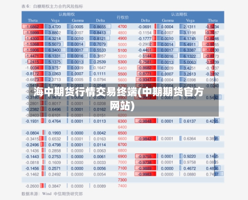 海中期货行情交易终端(中期期货官方网站)