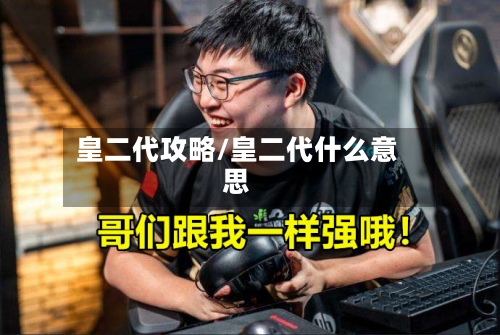 皇二代攻略/皇二代什么意思-第2张图片