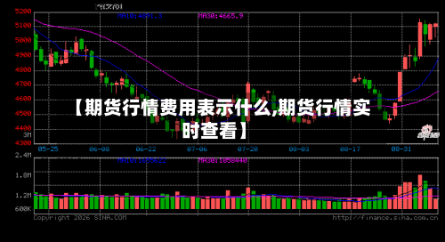 【期货行情费用表示什么,期货行情实时查看】