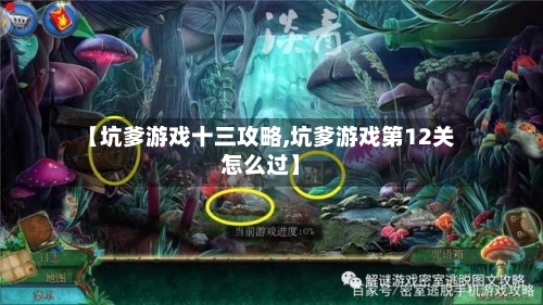 【坑爹游戏十三攻略,坑爹游戏第12关怎么过】-第3张图片