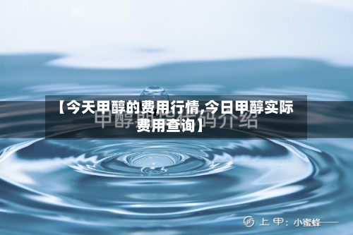 【今天甲醇的费用行情,今日甲醇实际费用查询】