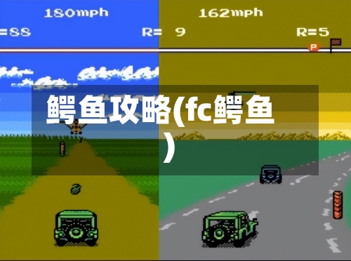 鳄鱼攻略(fc鳄鱼)