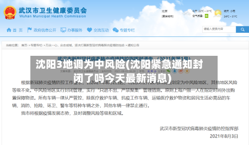 沈阳3地调为中风险(沈阳紧急通知封闭了吗今天最新消息)-第2张图片