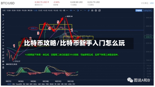 比特币攻略/比特币新手入门怎么玩-第2张图片
