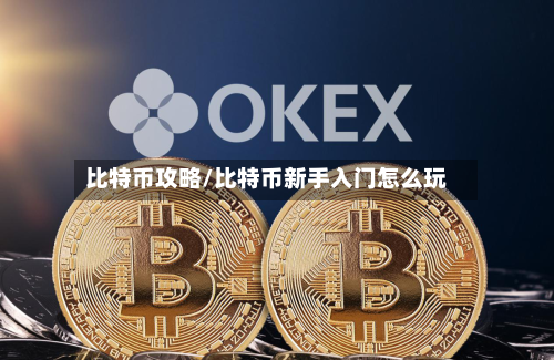 比特币攻略/比特币新手入门怎么玩-第3张图片
