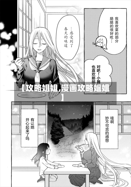 【攻略姐姐,漫画攻略姐姐】-第2张图片