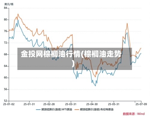 金投网棕榈油行情(棕榈油走势)-第3张图片